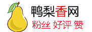 www.zhanqunba.com 站群霸-高质海外粉丝超市 - 拒绝机器粉！免密码安全下单，提供高活跃 Ins/TikTok/Twitter 优质粉丝。 - www.zhanqunba.com
